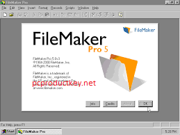 FileMaker Pro Crack 19.3.2.206