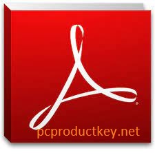 Adobe Acrobat XI Pro 2021.001.20142 Crack